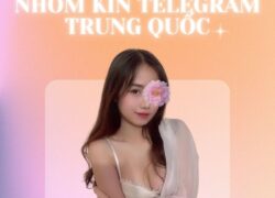 Nhóm kín Telegram Trung Quốc: Tổng hợp link mới nhất