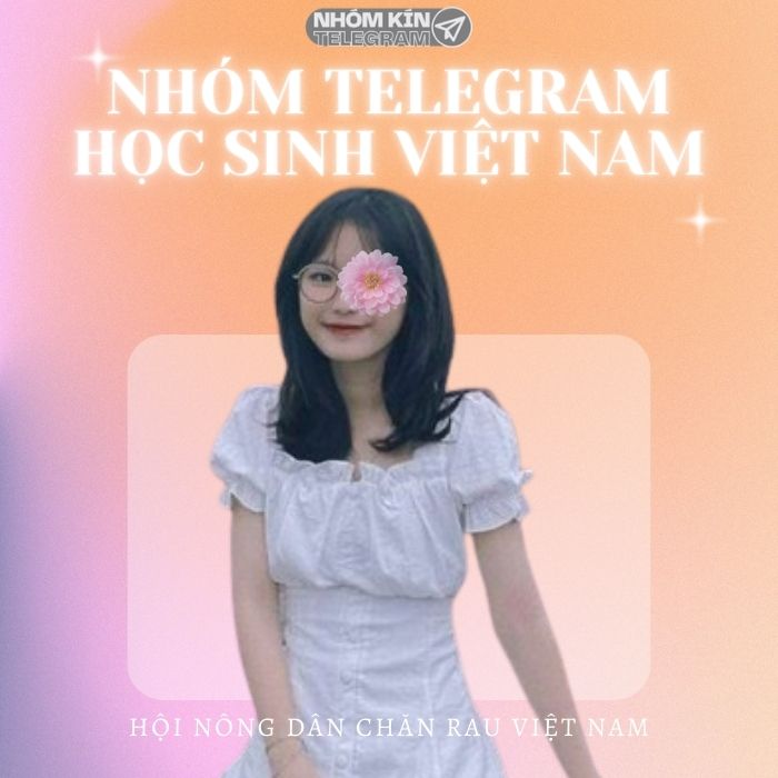 nhom telegram hoc sinh viet nam