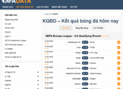 Fifadata hoạt động liên tục 24/7 – Không bao giờ nghỉ ngơi